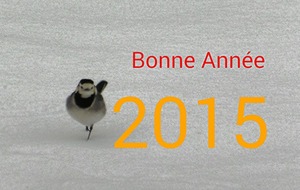 Meilleurs voeux pour 2015