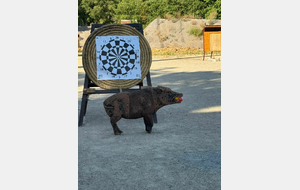 Manosque Vacances et Muziks à Manosque