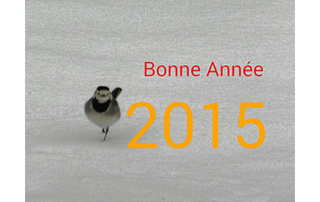 Meilleurs voeux pour 2015