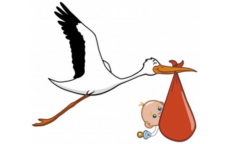 Cigogne